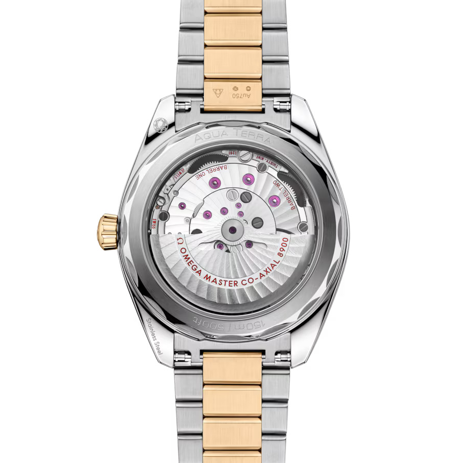 OMEGA Seamaster Aqua Terra 150m, 41mm with Black Dial